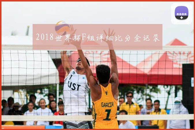 2018世界杯F组详细比分全记录