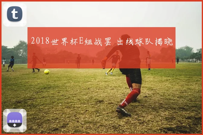 2018世界杯E组战罢 出线球队揭晓