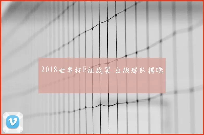 2018世界杯E组战罢 出线球队揭晓