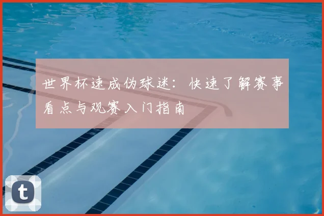 世界杯速成伪球迷：快速了解赛事看点与观赛入门指南