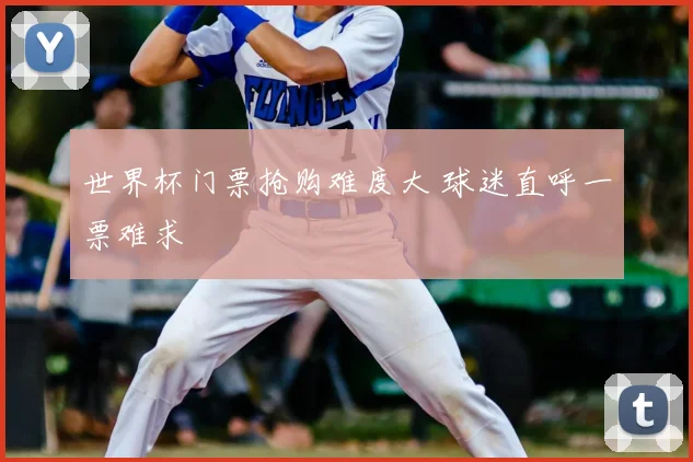 世界杯门票抢购难度大 球迷直呼一票难求