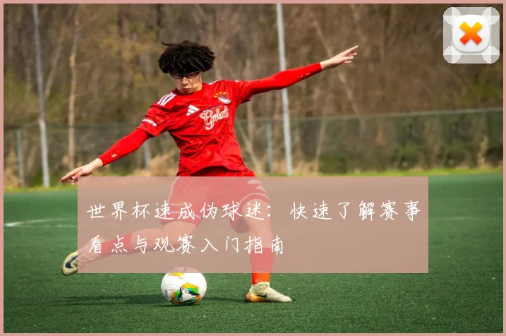 世界杯速成伪球迷：快速了解赛事看点与观赛入门指南