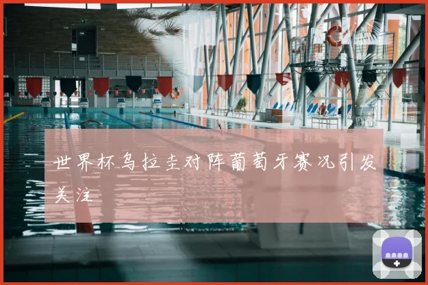 世界杯乌拉圭对阵葡萄牙赛况引发关注