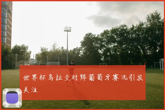 世界杯乌拉圭对阵葡萄牙赛况引发关注