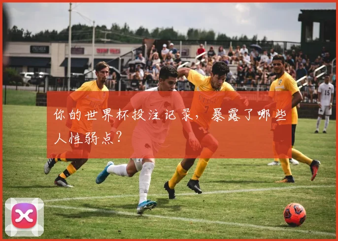 你的世界杯投注记录，暴露了哪些人性弱点？