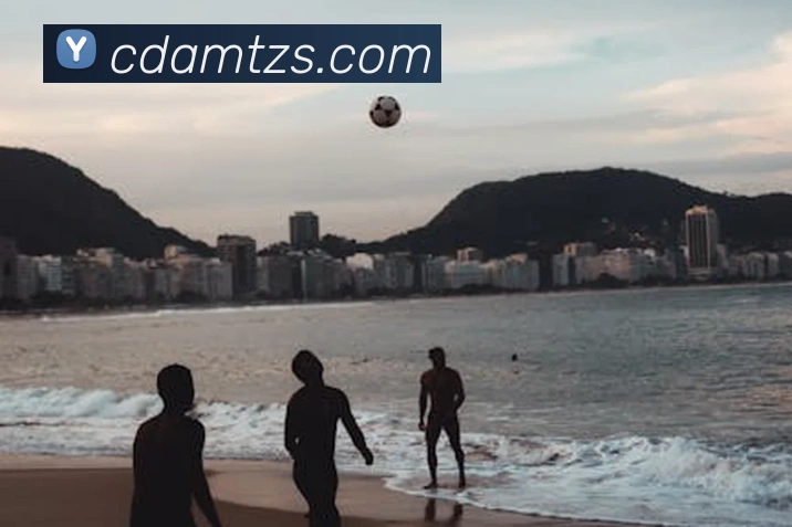 App Interface Preview